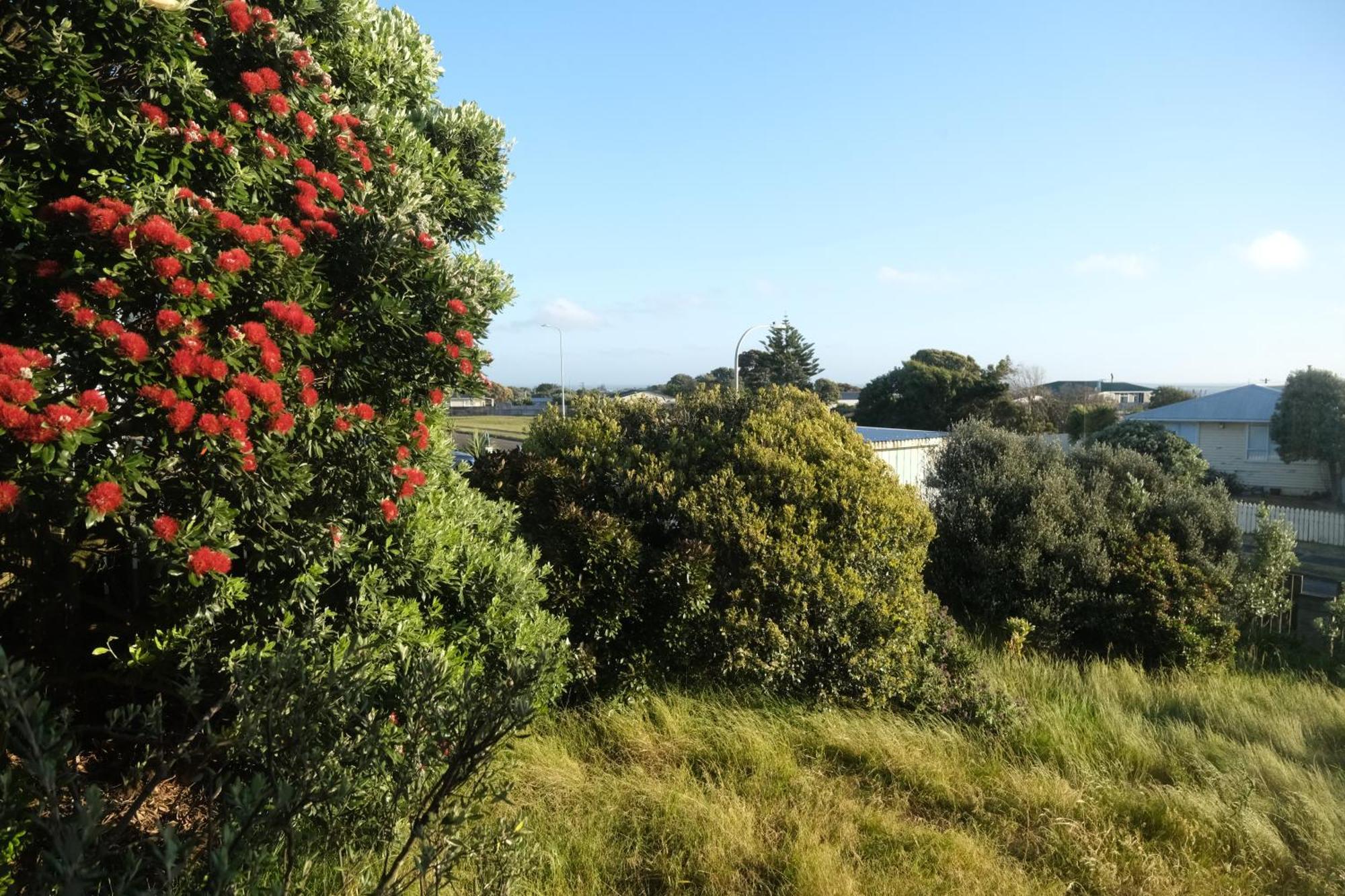 4 Bedroom With Sea Views * Whanganui